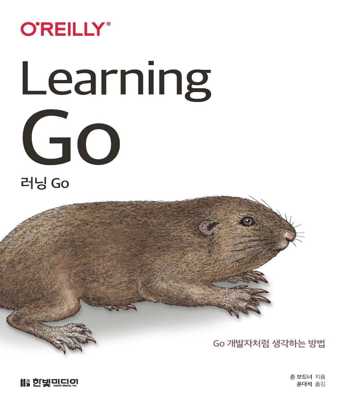 learning-go